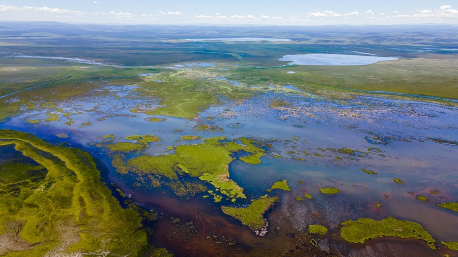【回到甘南】临夏东公馆 八坊十三巷 拉卜楞寺 花湖 郎木寺 若尔盖 扎尕那 至臻五日游