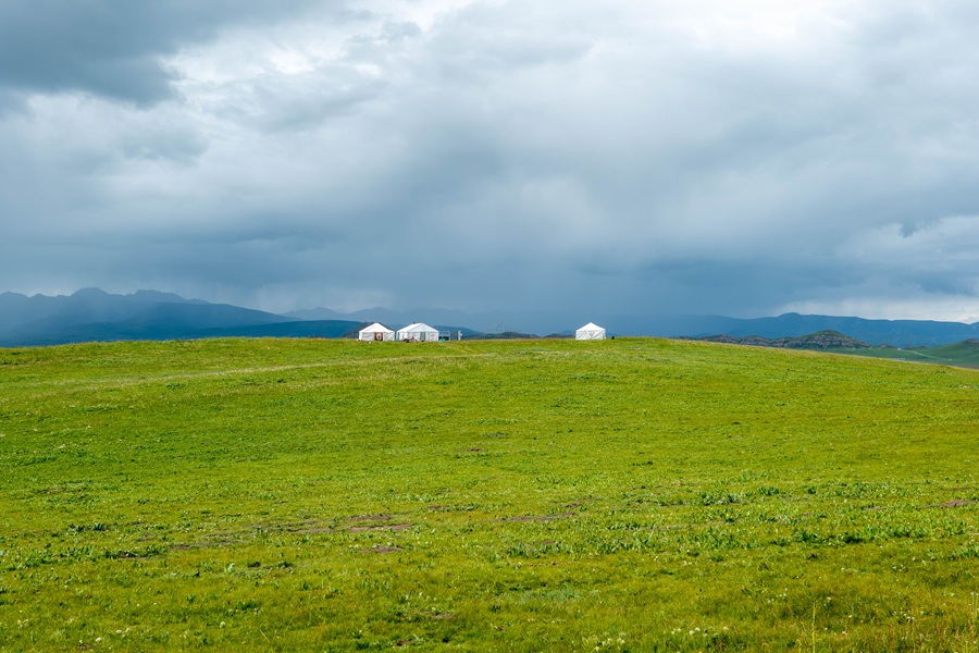 【回到甘南】临夏东公馆 八坊十三巷 拉卜楞寺 花湖 郎木寺 若尔盖 扎尕那 至臻五日游