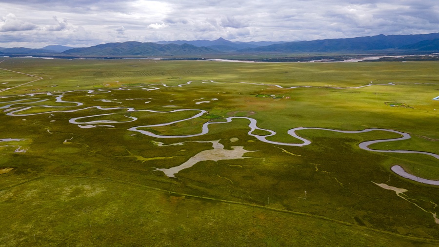 【回到甘南】临夏东公馆 八坊十三巷 拉卜楞寺 花湖 郎木寺 若尔盖 扎尕那 至臻五日游